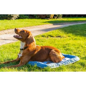 Rosewood COOLING MAT Chill Core Mat