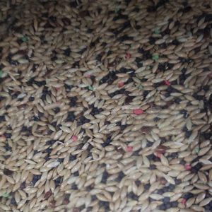 Mistura Canários 25 kg         [ CASA GALRÂO ]