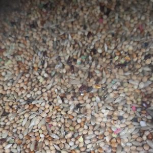 Mistura para periquitos 25 kg [ CASA GALRÂO ]