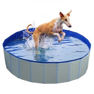 Duvo Piscina Para Cão
