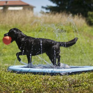 Ferribiella  Piscina Com Repuxos