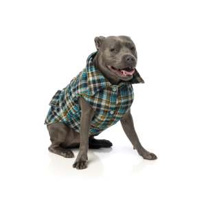 FUZZYARD  Shacket Blue Checked