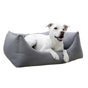 Kerbl Cama Oxford Place