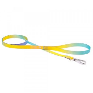Ferribiella Trela Motif Rainbow
