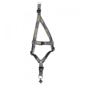 For Fan Warner Bros  Star Wars Arnes Mandalorian