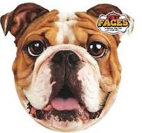 PETFACES  PILLOWS ( Almofada )