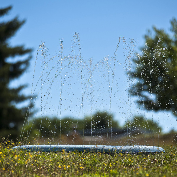 Piscina Com Repuxos De Agua Para Caes - Image 2