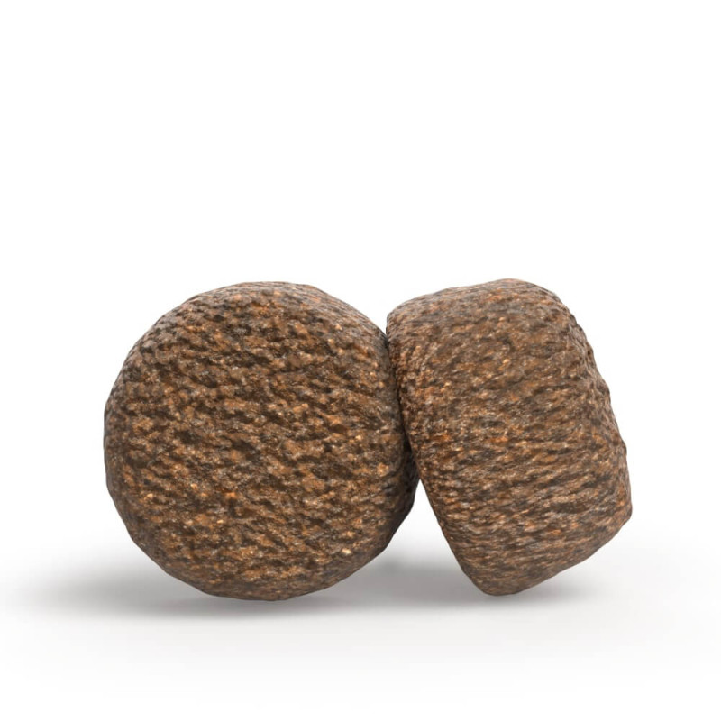 Josera Senior Plus Cão Sénior com Sensibilidades Salmão - Image 2