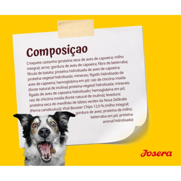 Josera Fiesta Plus Cão Adulto Salmão - Image 3