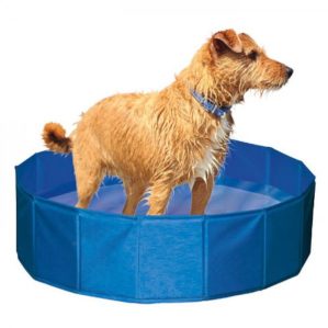 Kerbl Piscina Para Caes
