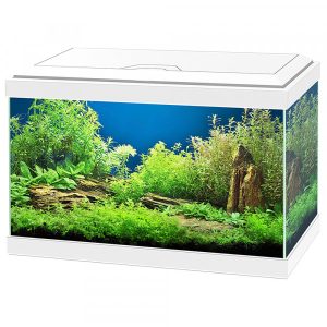 Aquário Aqua 20 LED com Filtro e Iluminação