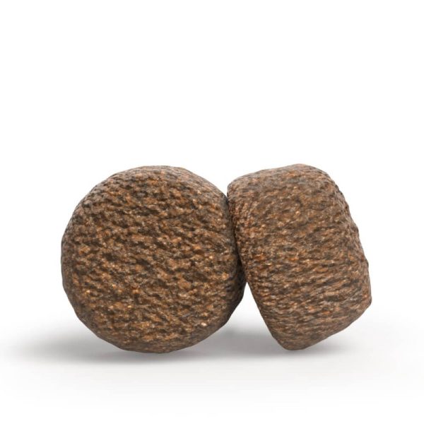 Josera - Ração Seca para Cão Mini Sénior - Frango e Arroz - Image 2
