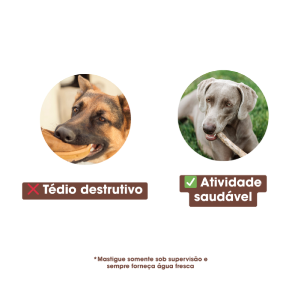 Kaudas - Sticks naturais de madeira de café para cão - Image 3