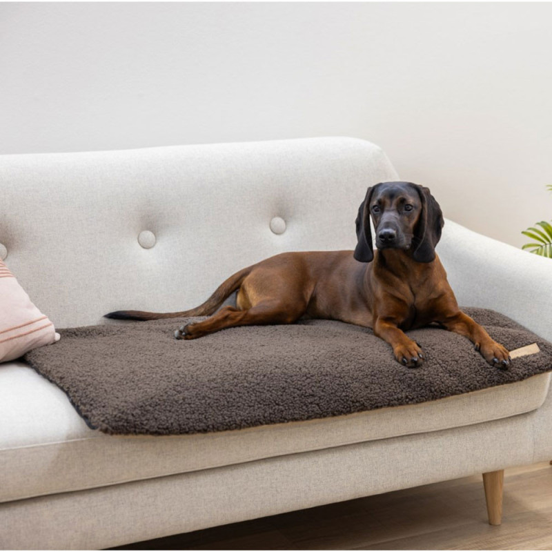 Kerbl Colchão Multifunção para cao - Image 8