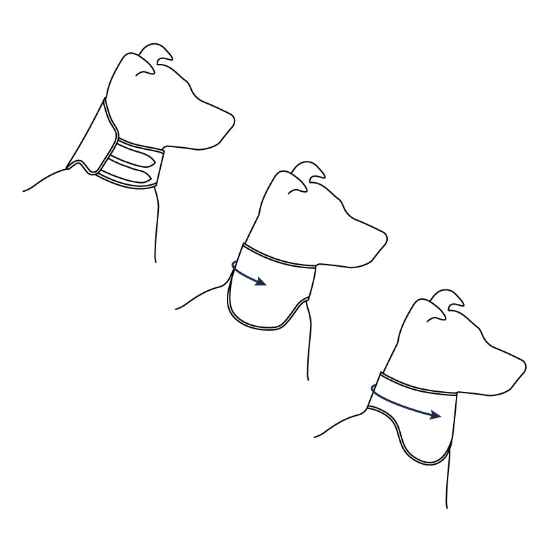 Colar de recuperação para cães e gatos Post Op Easy - Image 3