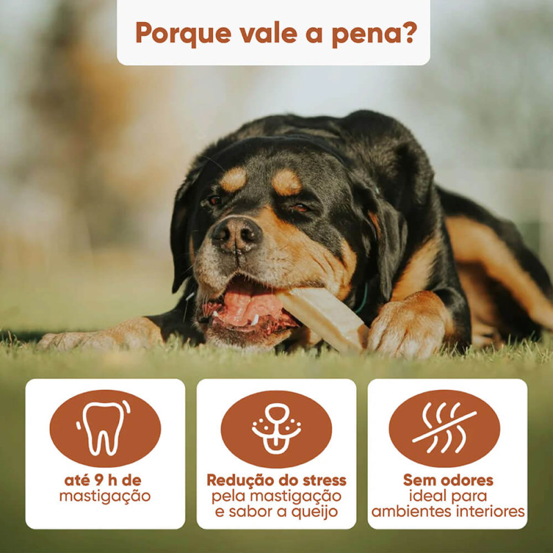 Kaudas - Barra de Queijo com Curcuma para cão - Image 4