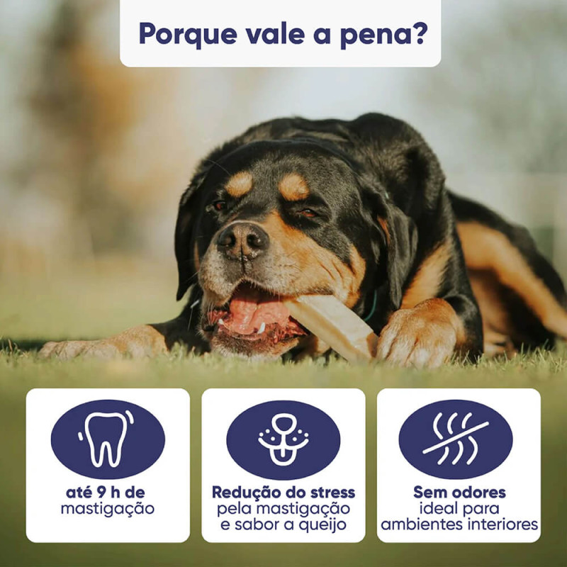 Kaudas - Barra de Queijo com Mirtilos para cão - Image 3