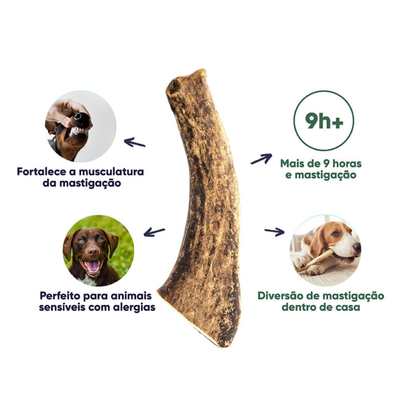 Kaudas - Chifre de Veado Vermelho Wildkraft para cão - Image 3