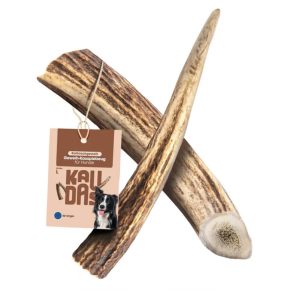 Kaudas - Chifre de Veado Vermelho Wildkraft para cão