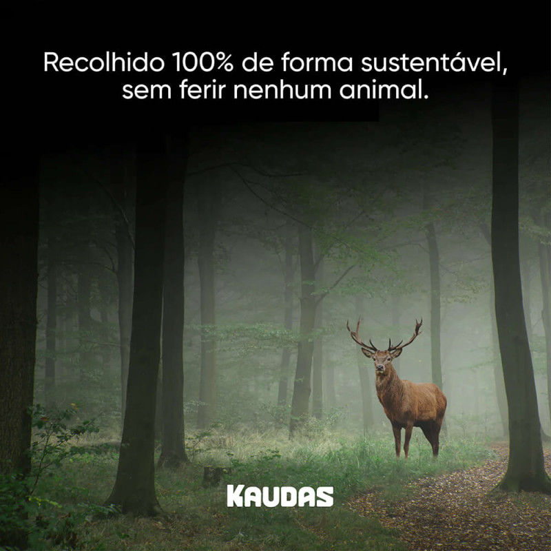 Kaudas - Chifre de Veado Vermelho Wildkraft para cão - Image 5