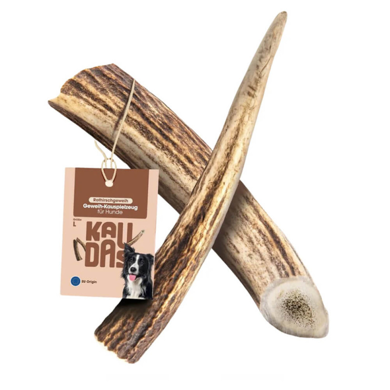 Kaudas - Chifre de Veado Vermelho Wildkraft para cão