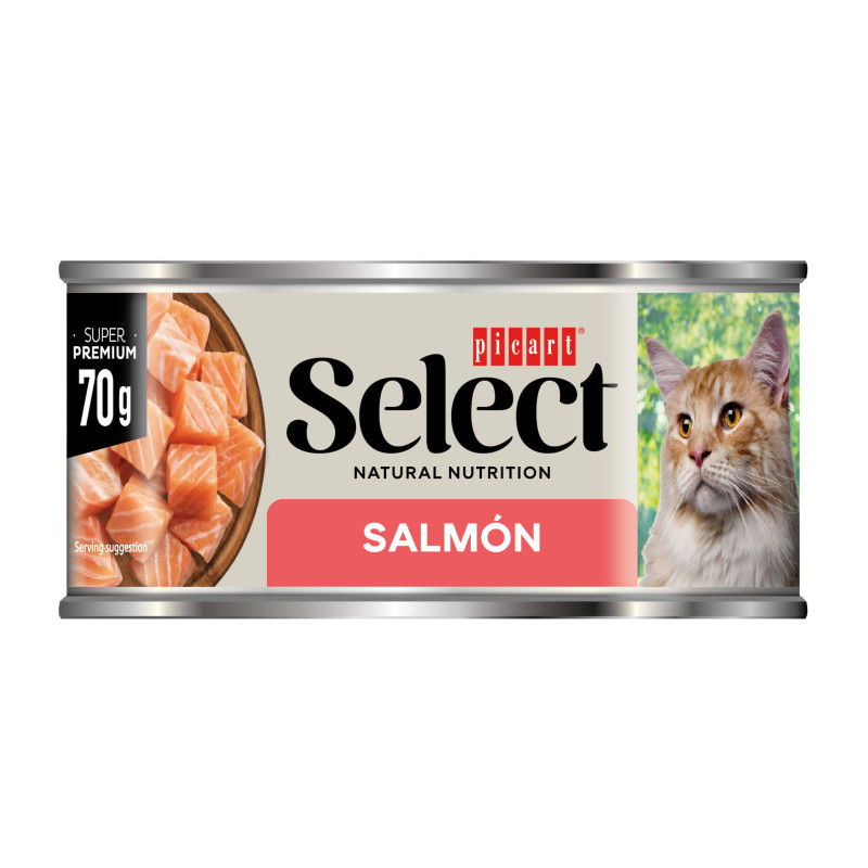 Picart Select Super Premium Caldo em Gelatina Sem Cereais para Gato Adulto 70 gr - Image 2