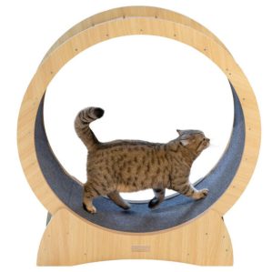 Kerbl Roda de exercício para gato